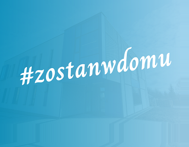 Praca zdalna w Ideo Force