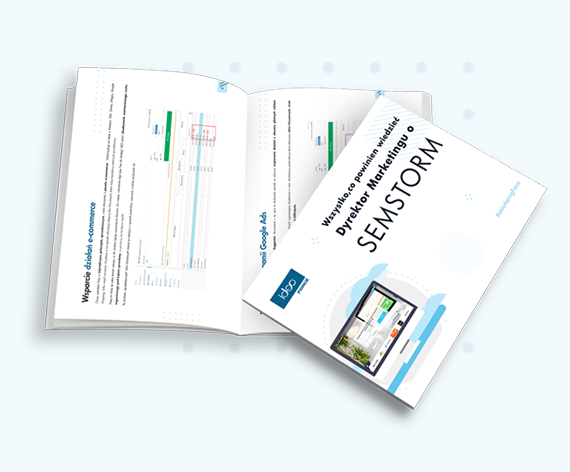 Wszystko, co powinien wiedzieć Dyrektor Marketingu o SEMSTORM