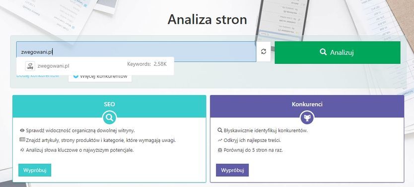 analiza stron semstorm