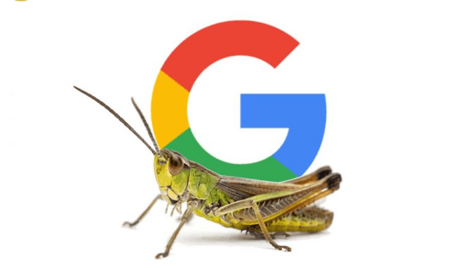Błąd Google