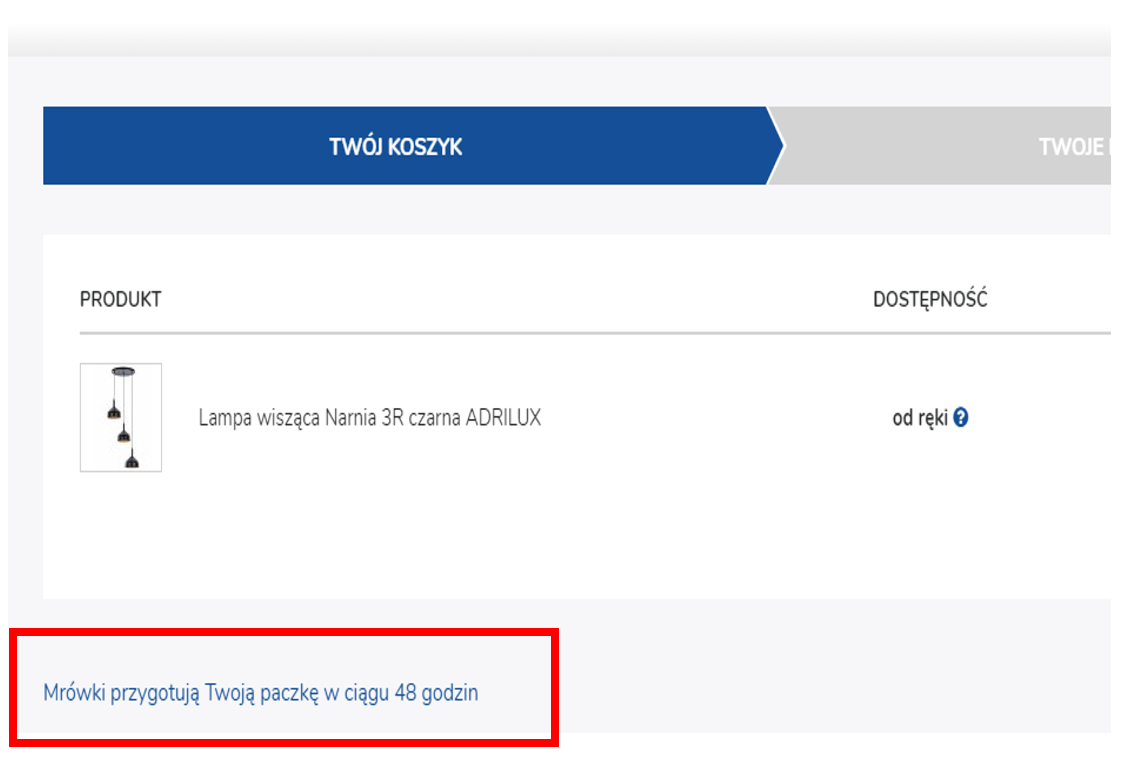 zakupy koszyk mrówka