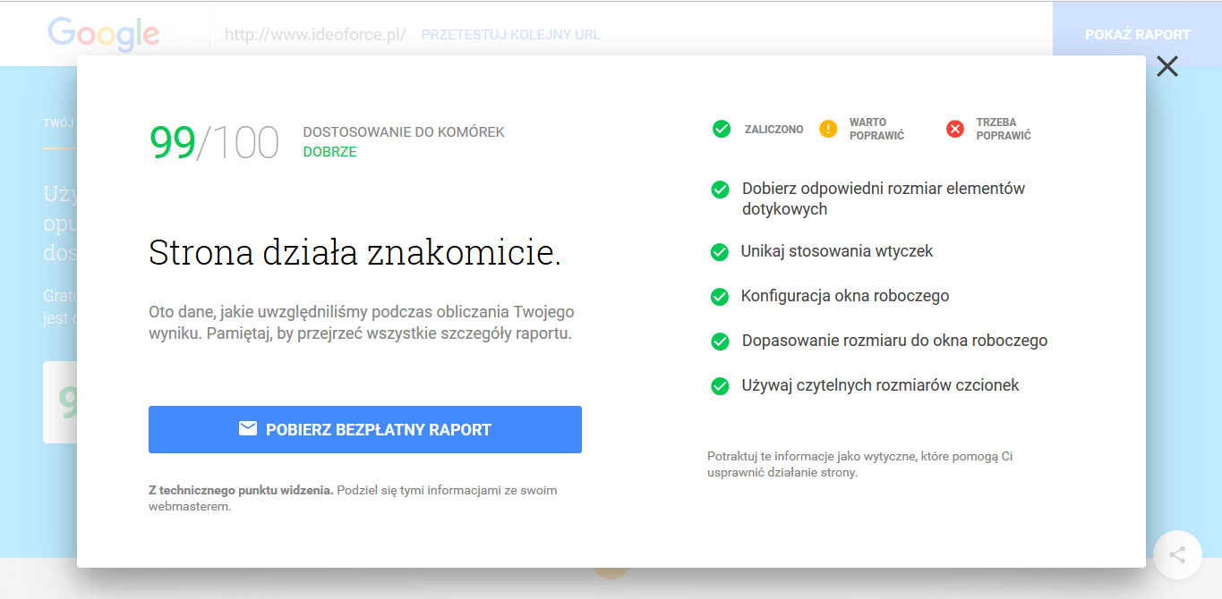 test efektywności strony mobilnej 2