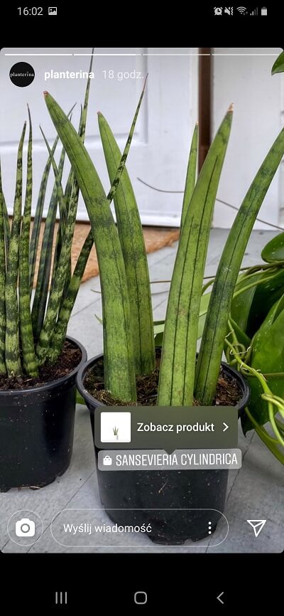 planterina instagram checkout