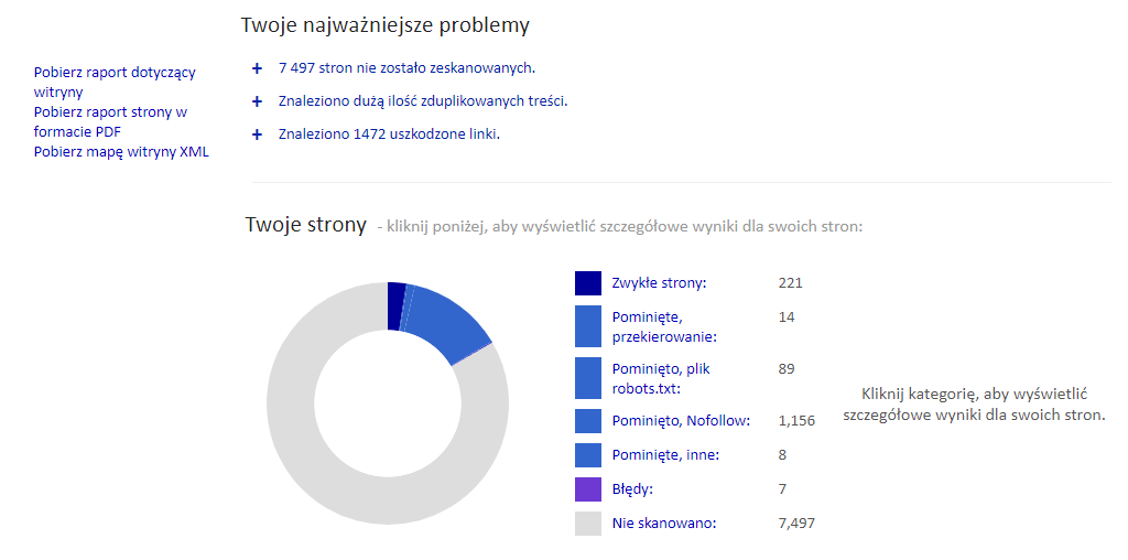 Raport problemów