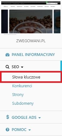 seo slowa kluczowe