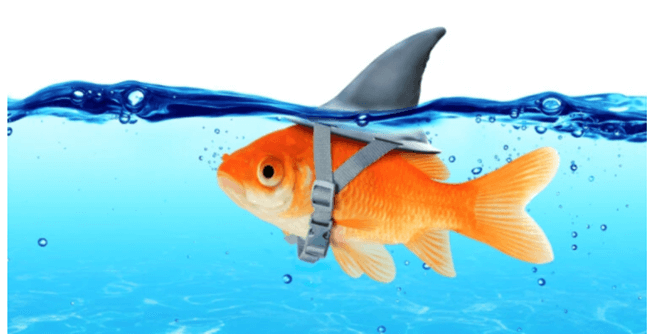 Oszukiwanie Lighthouse