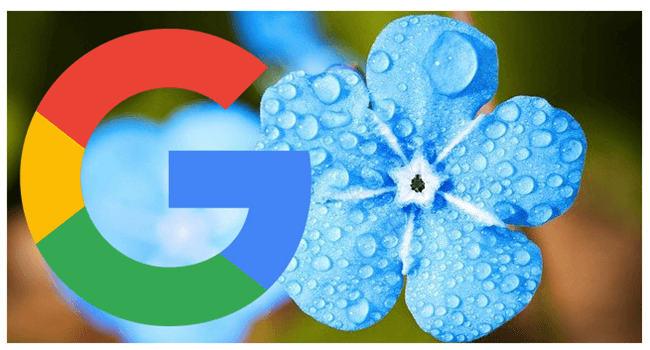 Testy Google