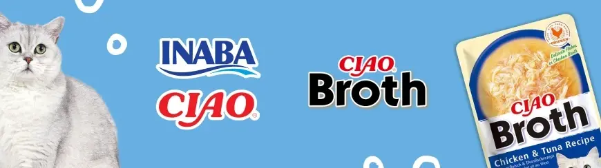 Inaba-infografika-I 1