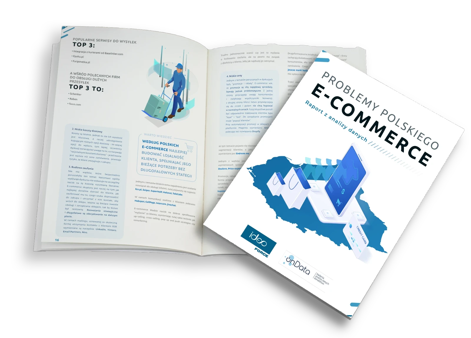 raport e-commerce