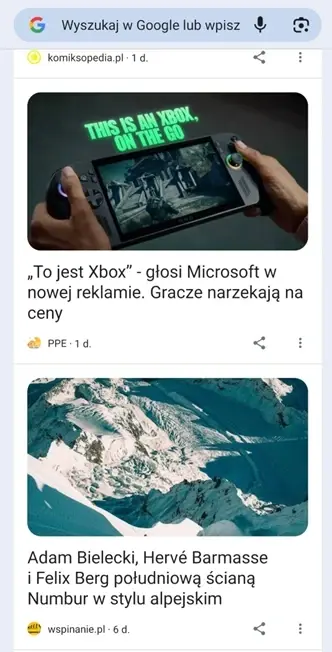 portale_6