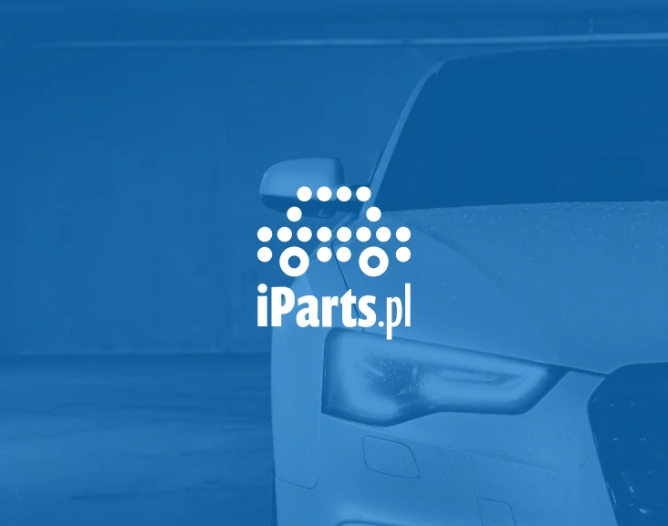 Biznesowe drogowskazy. Wdrożenie analityki dla lidera e-commerce z branży automotive